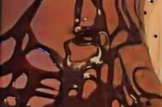 BEST HEAD IN THE MIDWEST👅💦 AVAILABLE NOW LETS HAVE SOME FUNN 👅guαrαntεεd 5 stars pεrformαncε!⭐⭐⭐⭐⭐ 💋 CAR DATES HEAD ONLYY‼‼ - Image 1